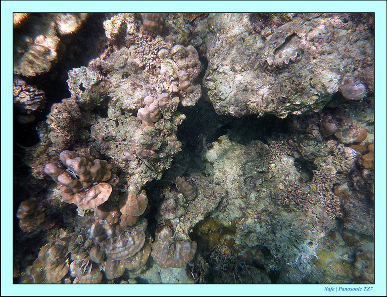 2011 - 03 - Koh Kradan 045